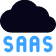 SaaS development
